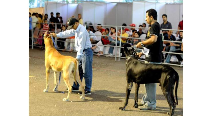 All set to hold Dog Show on Jan 21 