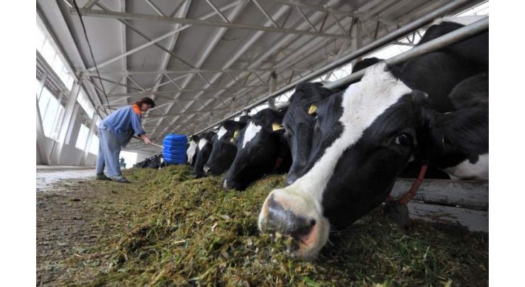 Dairy sector trembles at EU powdered milk mountain 