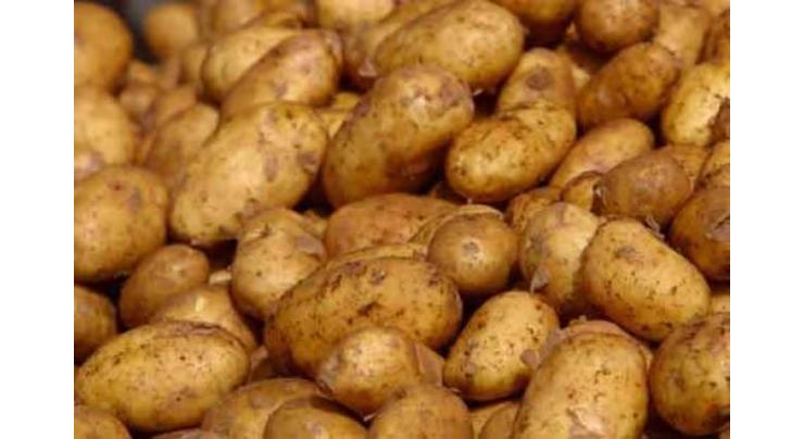 Potato cultivation should be completed by 31st 