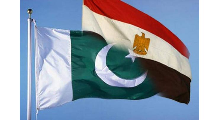 Egypt keen to promote trade with Pakistan ' Envoy 