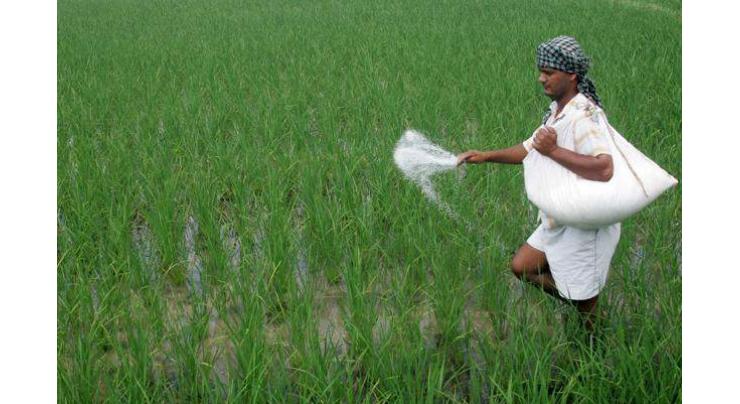 Impact of fertilizer subsidy scheme