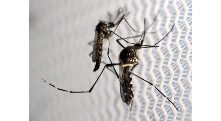 125,000 houses registered to control dengue in MCR area 