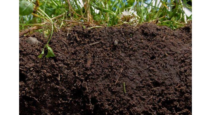 Soil analysis must to improve soil fertility 