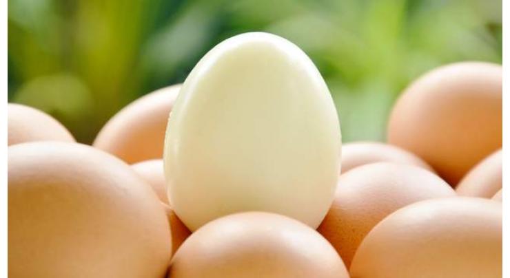 Cracking discovery: Japan scientist uses egg white for clean energy 