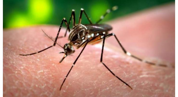 To combat dengue, surveillance kicks off in MCR area 