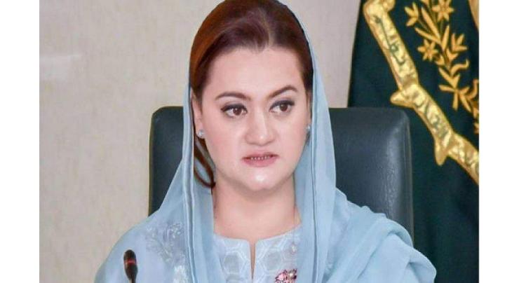 All constitutional institutions must function within constitutional limits without interference: Marriyum Aurangzeb 