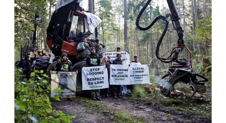 Poland illegally logged in ancient forest: EU court advisor 