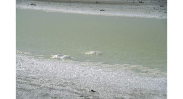 Thar saline water being used for fish, agriculture production
