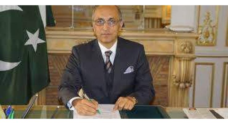 Pakistan emerging economy, attracting foreign investors: Pakistan Ambassador to France Moin ul Haque 
