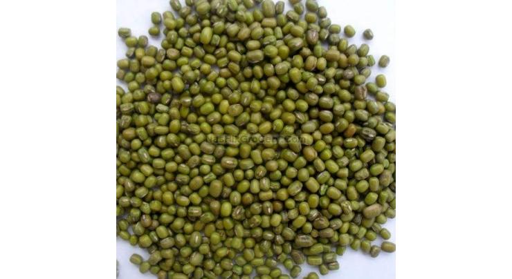 Approved "Moong "varieties should be cultivated: Experts
