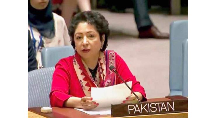 Military escalation in Afghanistan will erode peace prospects: Maleeha Lodhi