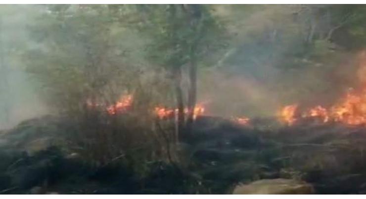 Five students die in southern India forest fire
