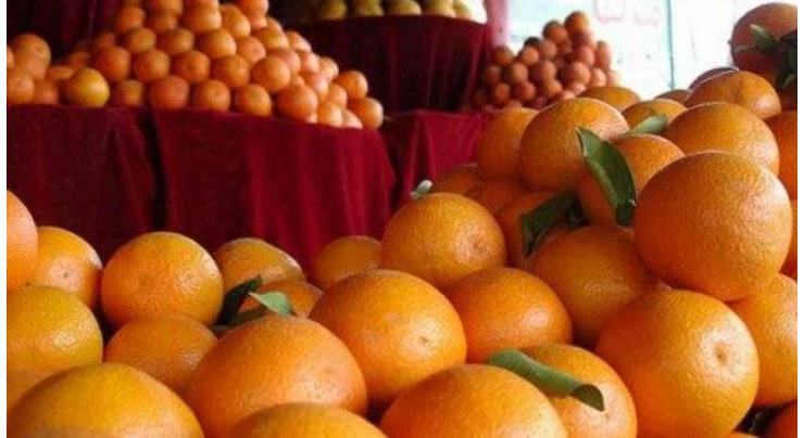 Ten percent increase in kinnow export recorded during current season: Citrus Research Institute Sargodha 
