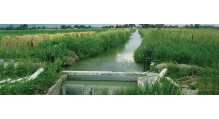 Punjab Irrigation and Drainage Authority decides to hold election of farmer organization
