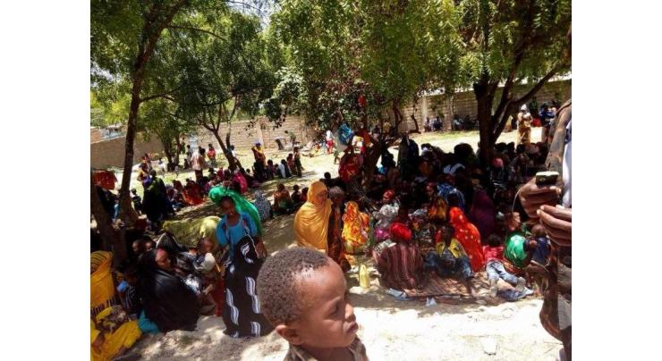 5,000 Ethiopians flee to Kenya after weekend shooting: Red Cross
