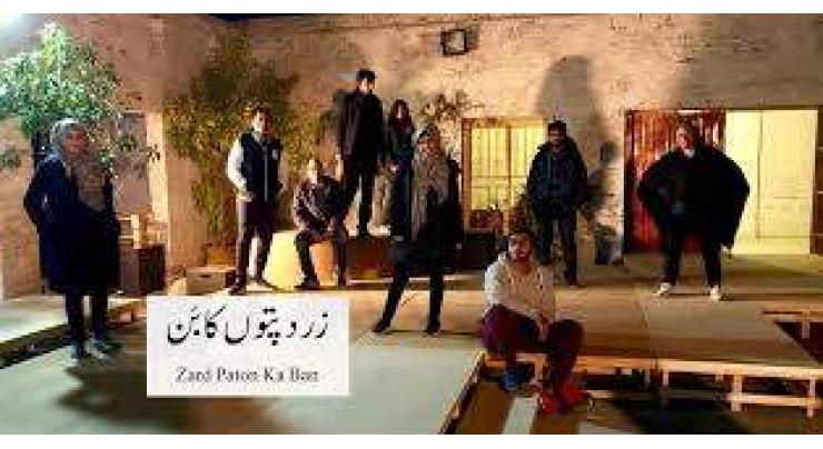 Play 'Zard Paton Ka Ban' by Theatre Wallay closes to three house-full shows
