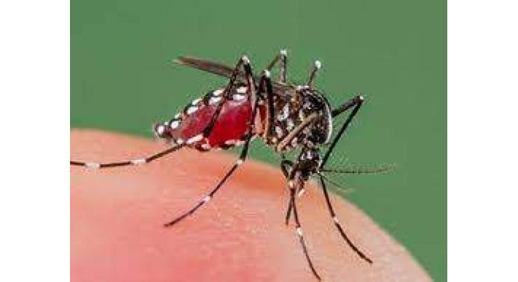 Leh Management plan devised to eliminate dengue spread in Rawalpindi
