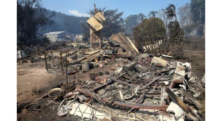 Australia bushfires destroy homes, kill cattle
