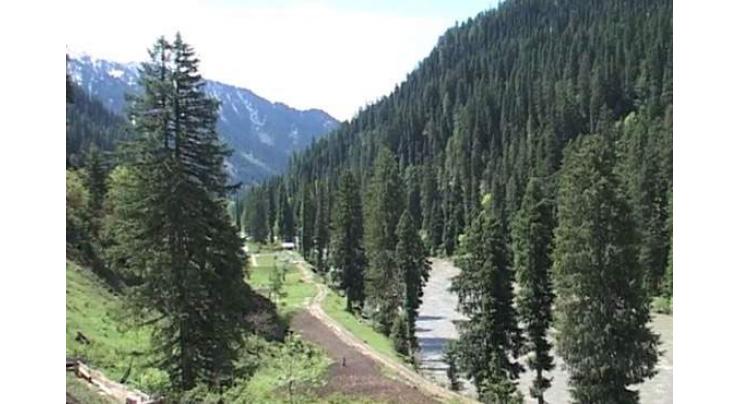 Pakistan to observe International Day of Forests on Wednesday
