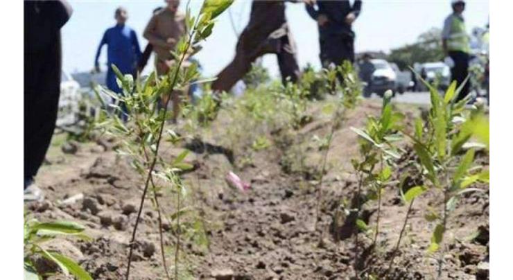 District administration to plant 3 million trees
