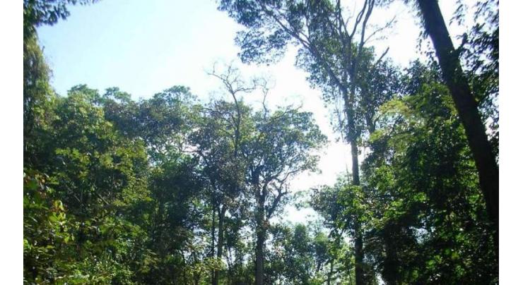 Forest net reduced by 50% due to urbanisation
