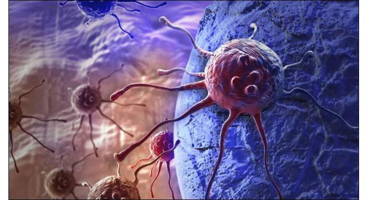 Protein that can stop cancer identified
