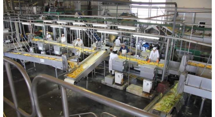 Chinese firms to establish bio-fertilizer processing factory in Laos
