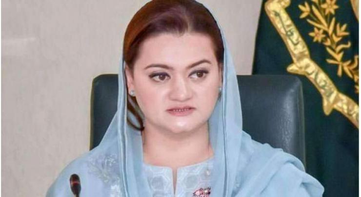 Marriyum Aurangzeb urges nation to pledge to transform Pakistan into abode of love and peace
