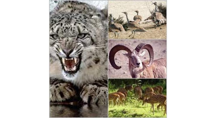 World Wildlife Fund (WWF), United Nations Office on Drugs and Crime (UNODC) sign Memorandum of Understanding to curb illegal wildlife trade in Pakistan
