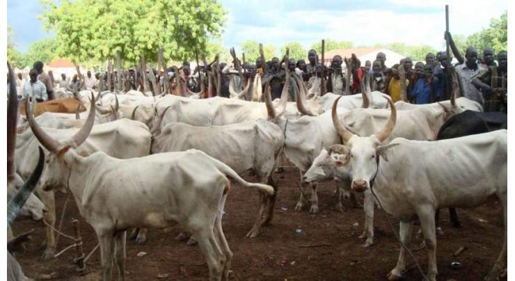 Death toll in Nigerian herding village attack rises to 36
