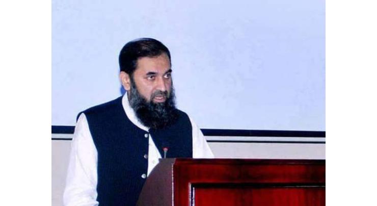 Pakistan can progress if institutions stay in constitutional limits: Federal Minister Engr Muhammad Balighur Rahman

