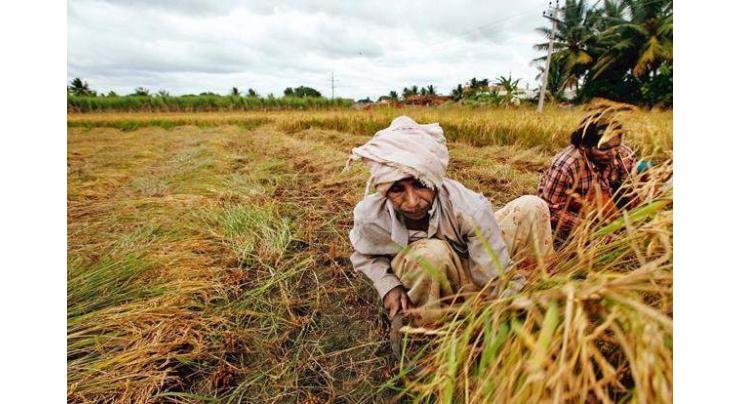 Agricultural initiatives to help increase crop production
