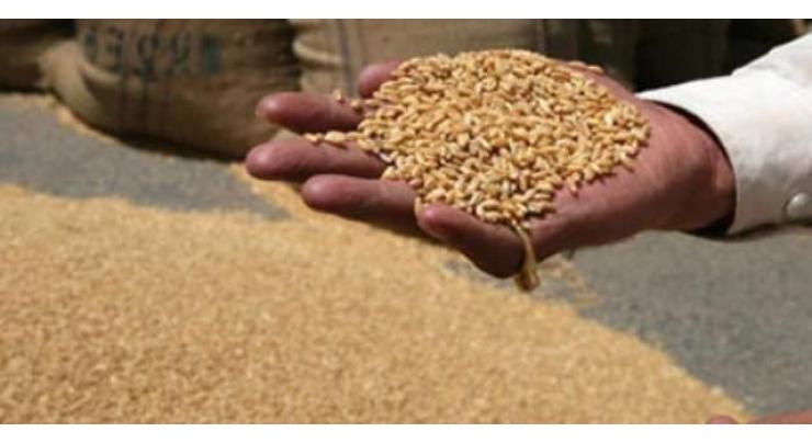 18 centers set up to procure 197,000 metric tons wheat from Jhang
