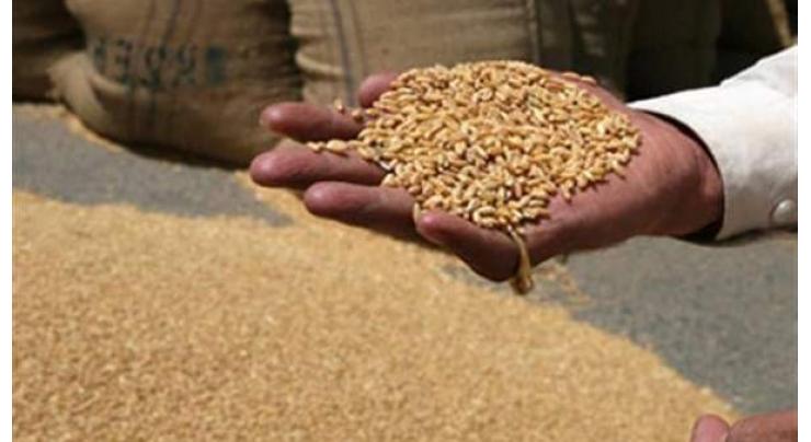 149,000 metric tons wheat to be procured from Faisalabad

