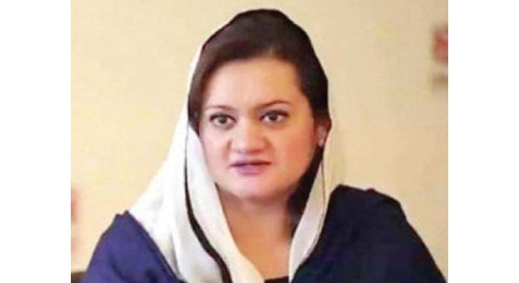 Film and Culture Policy will be made part of Finance Bill 2018: Marriyum Aurangzeb
