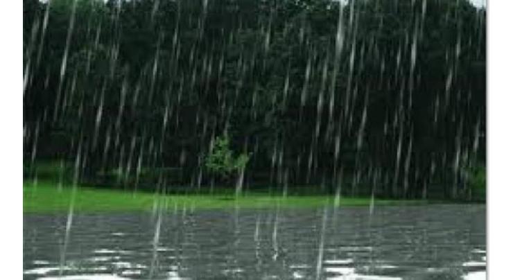 Rainfall decreases pollen count in federal capital
