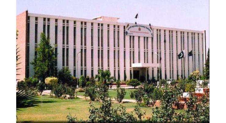 Sindh Agriculture University, German university jointly start week long online short course
