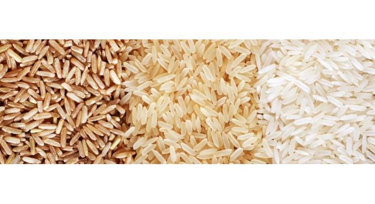 Chinese scientists find nanomaterial could reduce lead levels in rice
