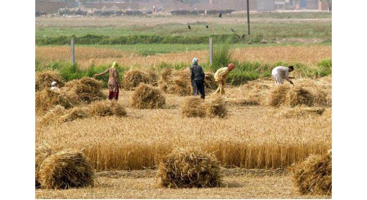 Govt releases Rs 1,011.04 million for agriculture development
