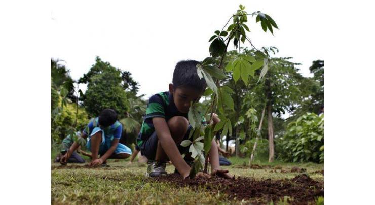Increasing number of plant sapling to bring significant change in Environment: Mayor
