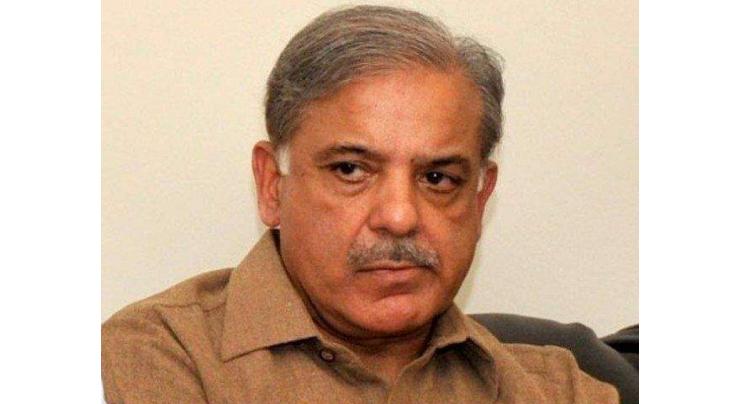 People to vote for those doing politics of public service, honesty: Punjab Chief Minister 

