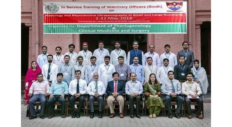 UVAS trains Sindh Veterinary Officers on Radiology & Reproductive Ultrasonography in Small and Large Ruminants