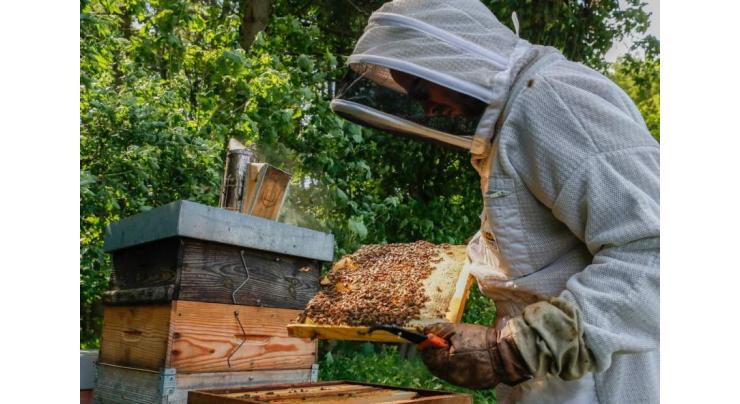 EU court upholds curbs on bee-killing pesticide
