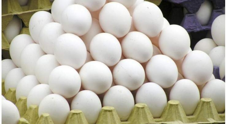 Livestock Deptt provides subsidy on poultry, eggs
