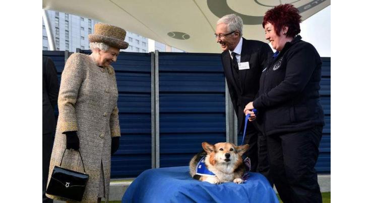 Move over corgis, Meghan Markle's beagle joins the British royal family
