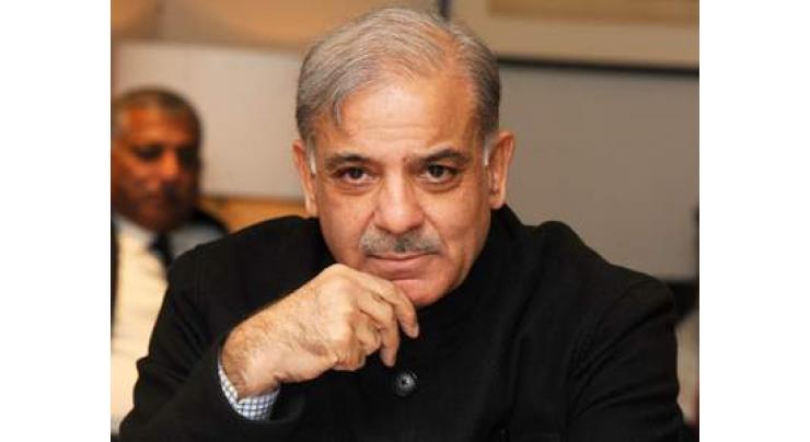 Punjab Chief Minister Muhammad Shehbaz Sharif expresses condolence over the death of mother of deputy secretary
