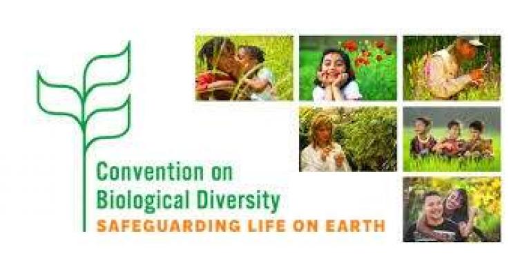 International Biodiversity Day to be marked  tomorrow
