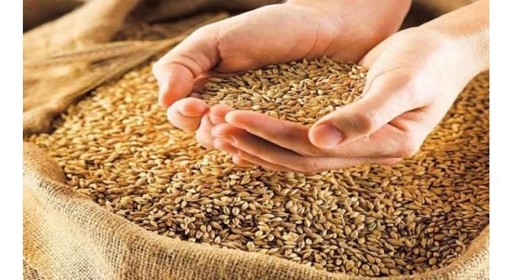 Food Deptt starts purchasing wheat from growers

