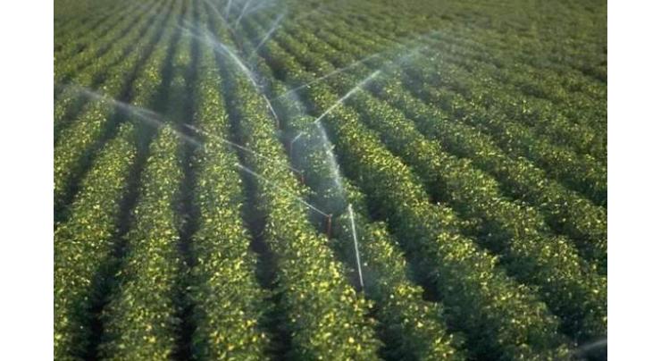 Punjab, Irrigated Agriculture Productivity Improvement Project (PIPIP) underway with support of World Bank
