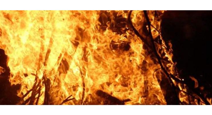 Fire erupts in Lwaghar forest region in Karak
